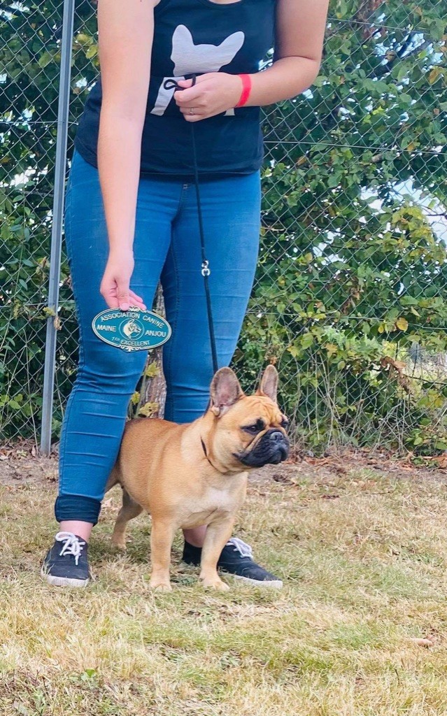 CH. Roxy Shamrock Cottage - 1er exc classe jeune femelle