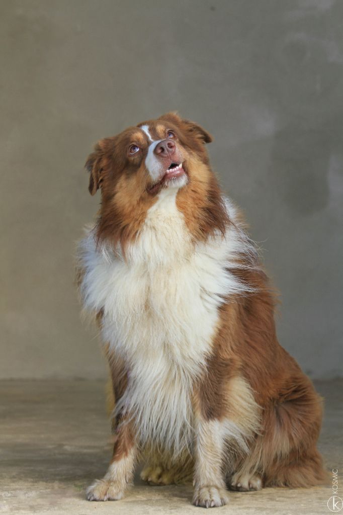 Publication : (Sans Affixe)