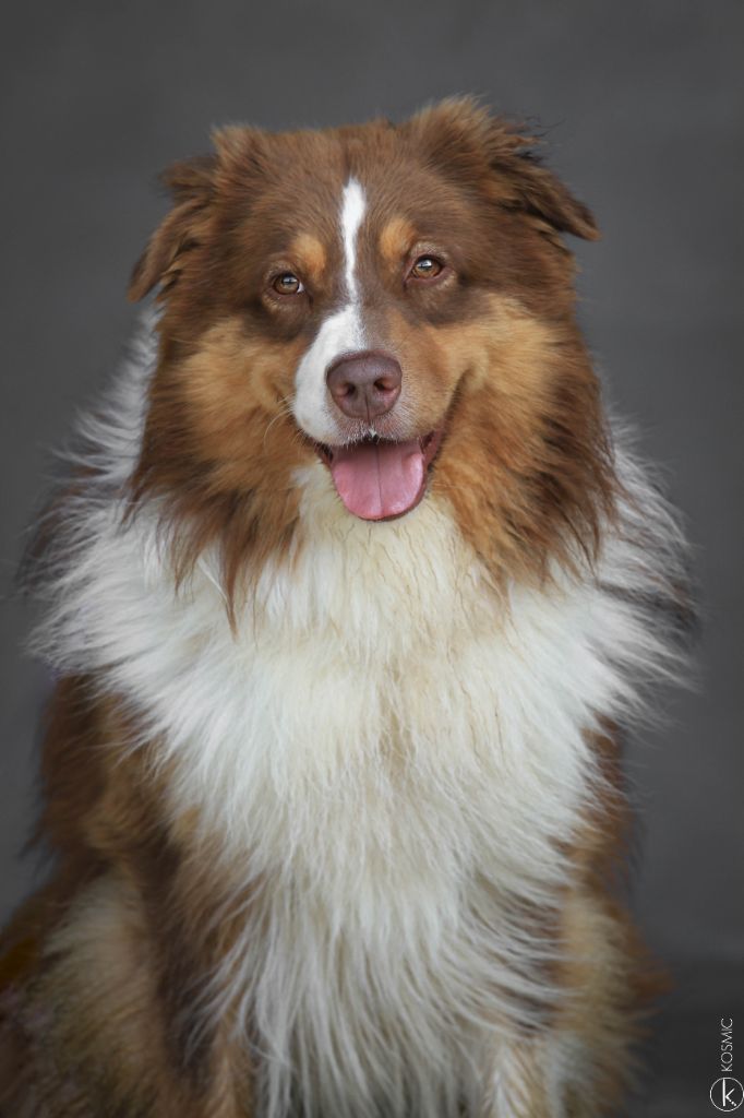 Publication : (Sans Affixe)