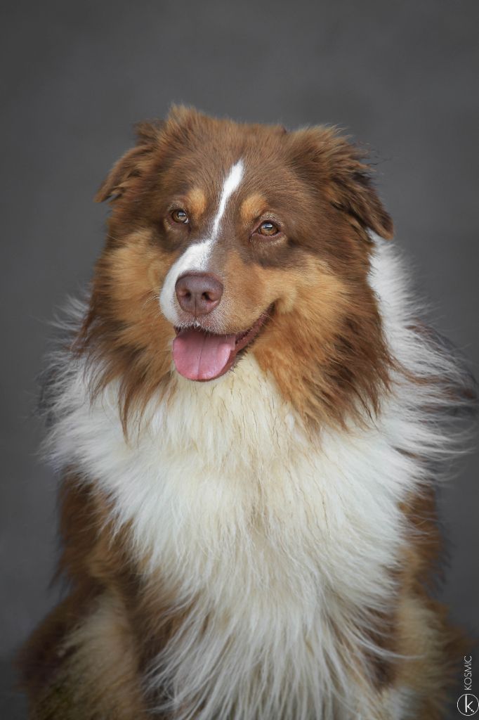 Publication : (Sans Affixe)