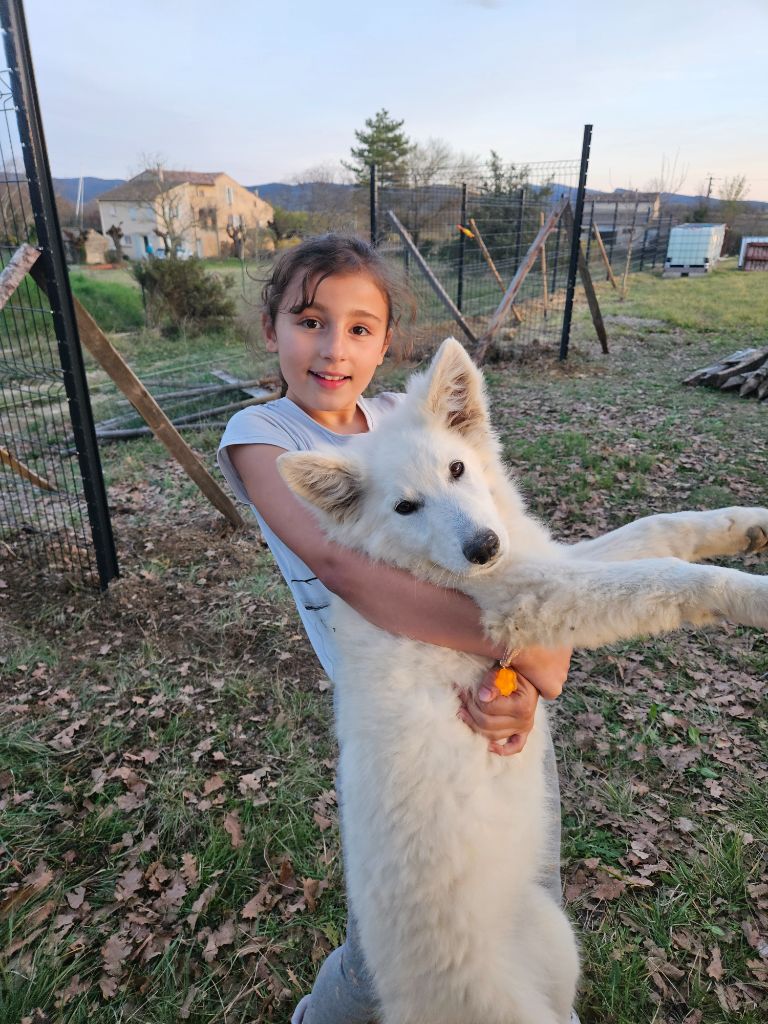 Uchka dit miku (Sans Affixe)