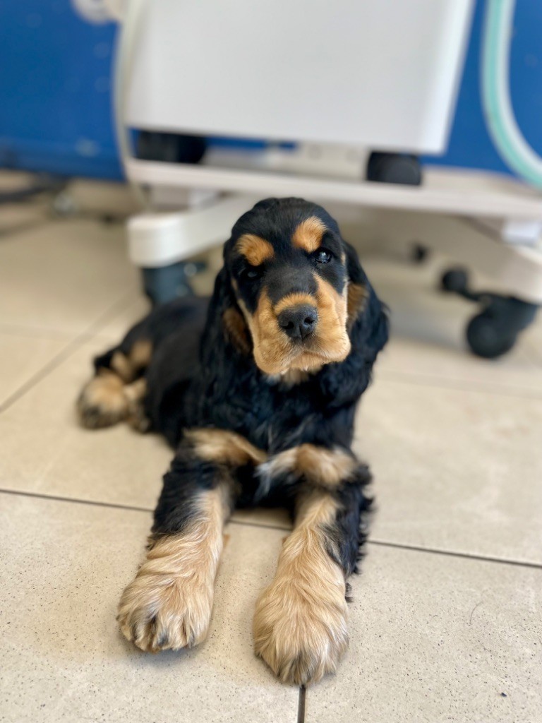 Another day in paradise of Never Say Goodbye