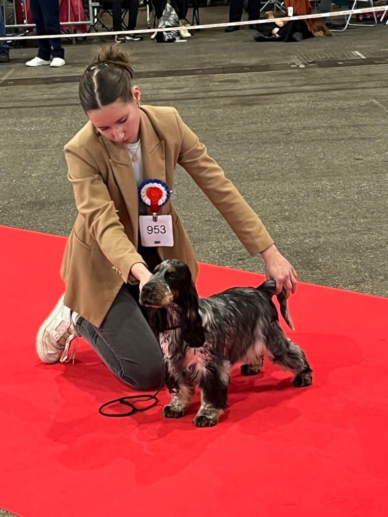 Like A Part Of Me Arley quinn