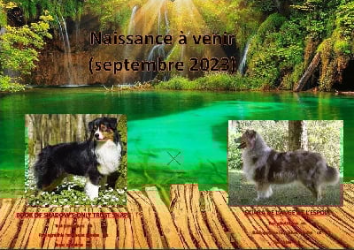 De L'Ange De L'Espoir