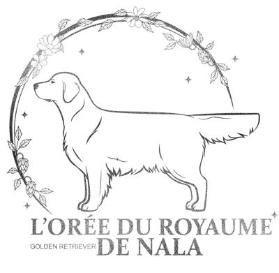 De L'Orée Du Royaume De Nala