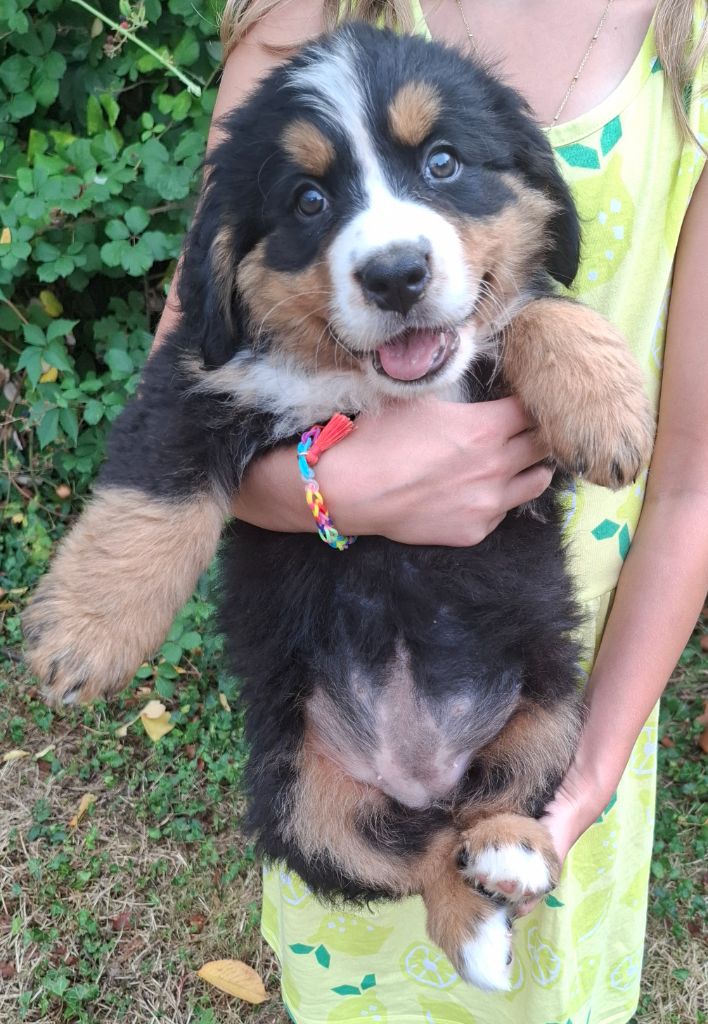 Miss violette ( Alaska)