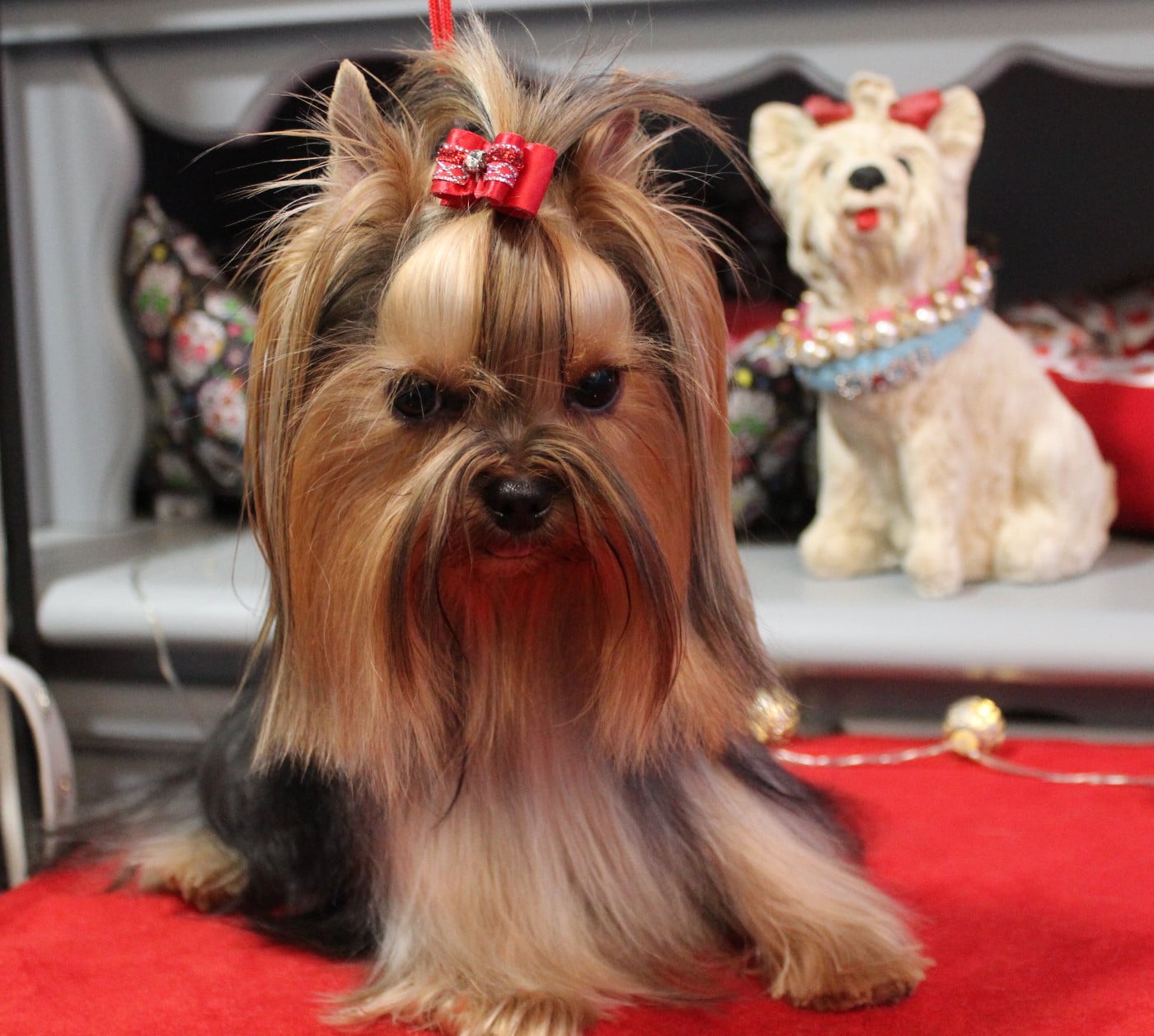 Publication : Du Berceau De Michel-Ange