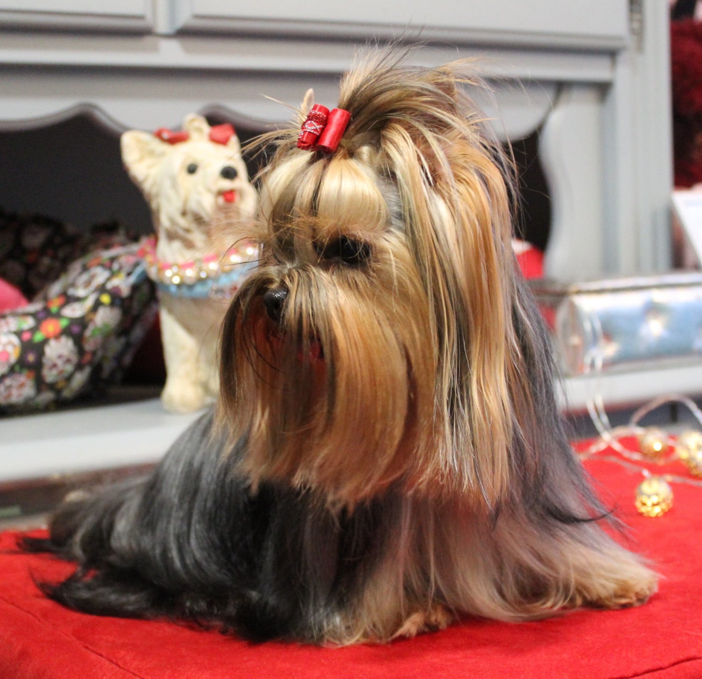 Publication : Du Berceau De Michel-Ange