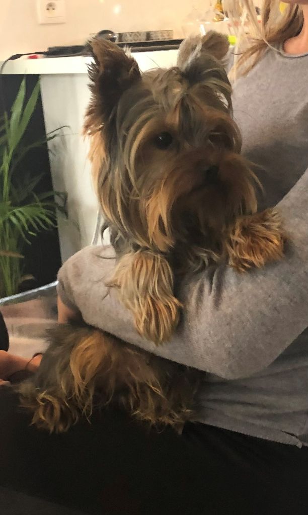 Publication : De Lady Augusta