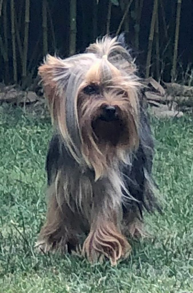 Publication : De Lady Augusta