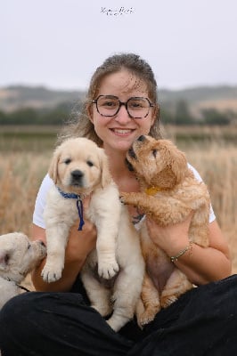 Des Trèfles à Quatre Pattes