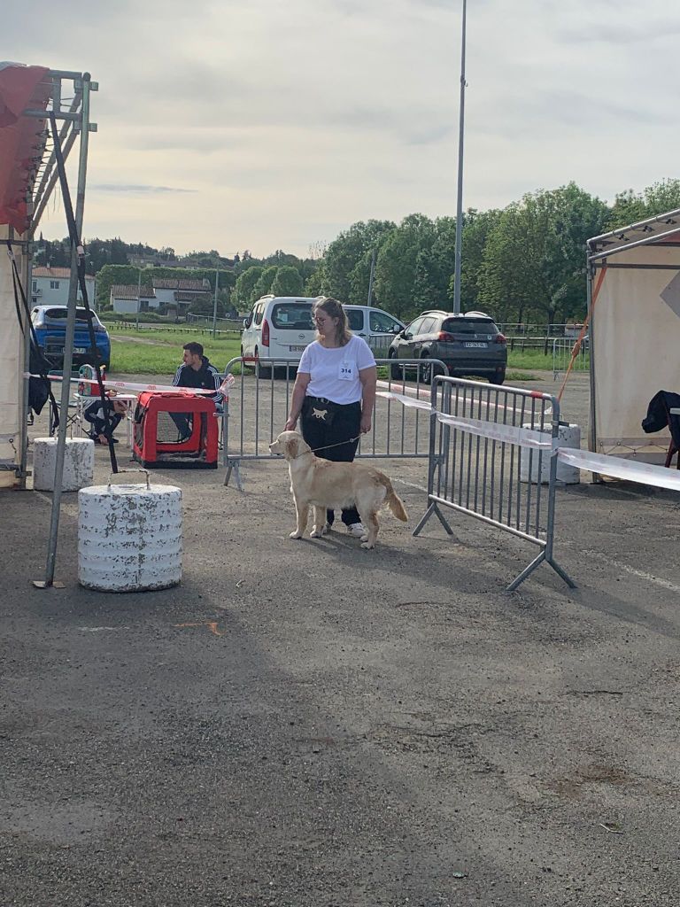 Unstoppable queen Angels of Tara - 2ème très prometteur / 2