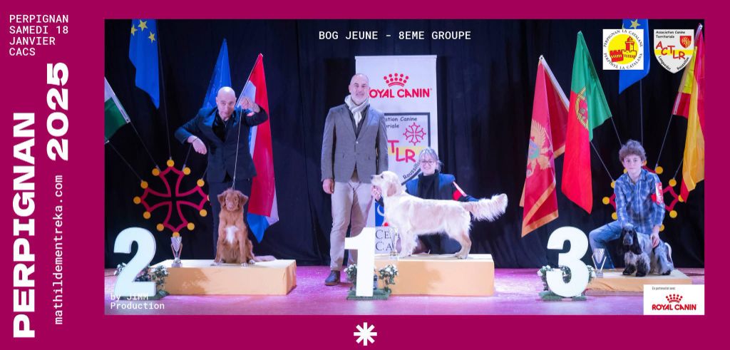 Unstoppable queen Angels of Tara - 1er excellent CACSJ & 1er BOGJ