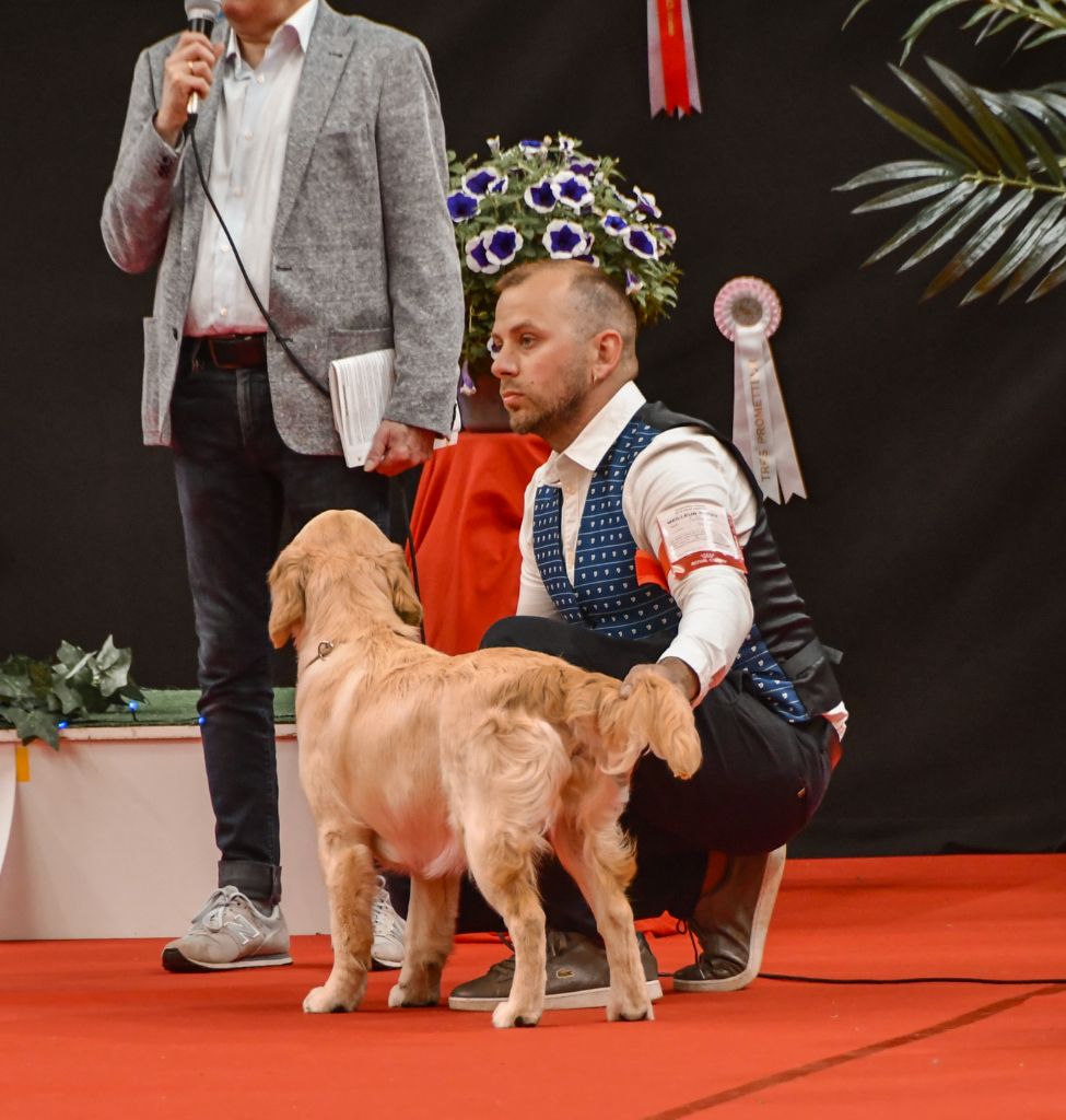 Unstoppable queen Angels of Tara - 1er très prometteur /1 & sélectionnée dans les meilleurs baby de la journée