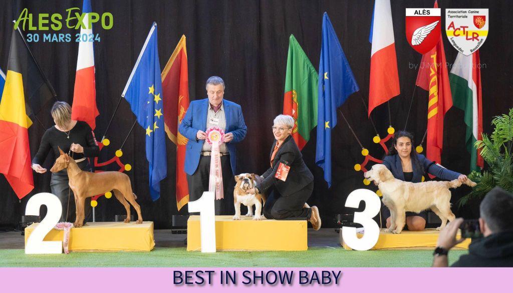Unstoppable queen Angels of Tara - meilleur baby & 3ème du best in show baby