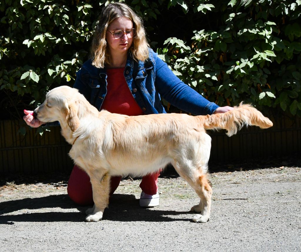 Unstoppable queen Angels of Tara - 2ème très prometteur/4