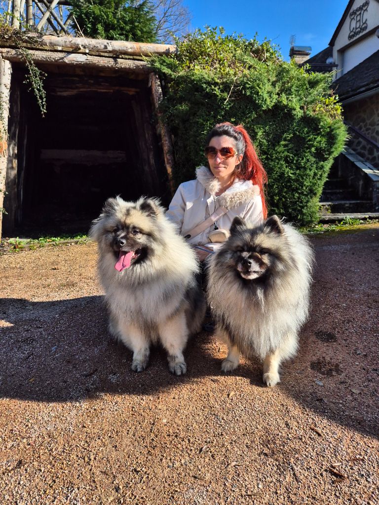 Sheyenne Of Sweet Fluffy Tails