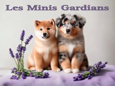 des Gardians des Fiolles