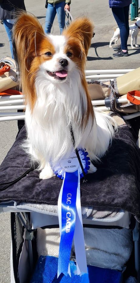 Publication : (Sans Affixe)