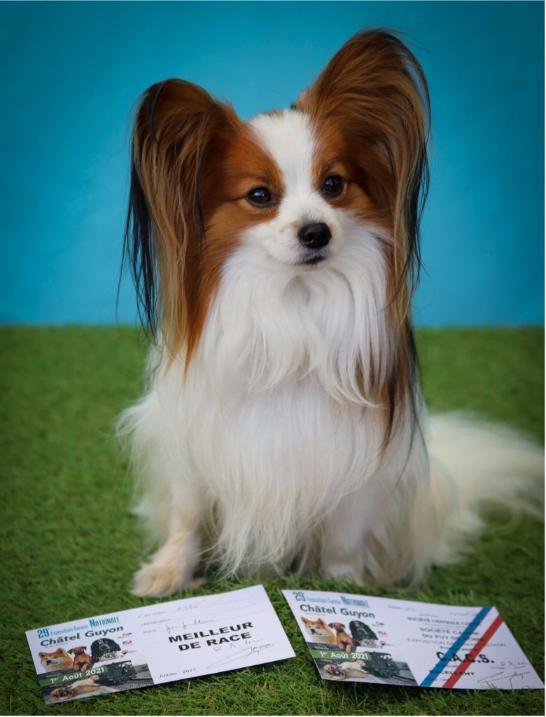 Publication : (Sans Affixe)