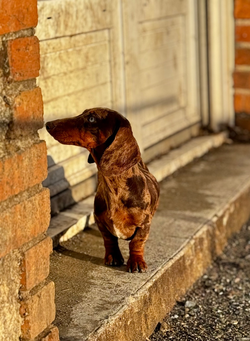 All in one Red Rock River