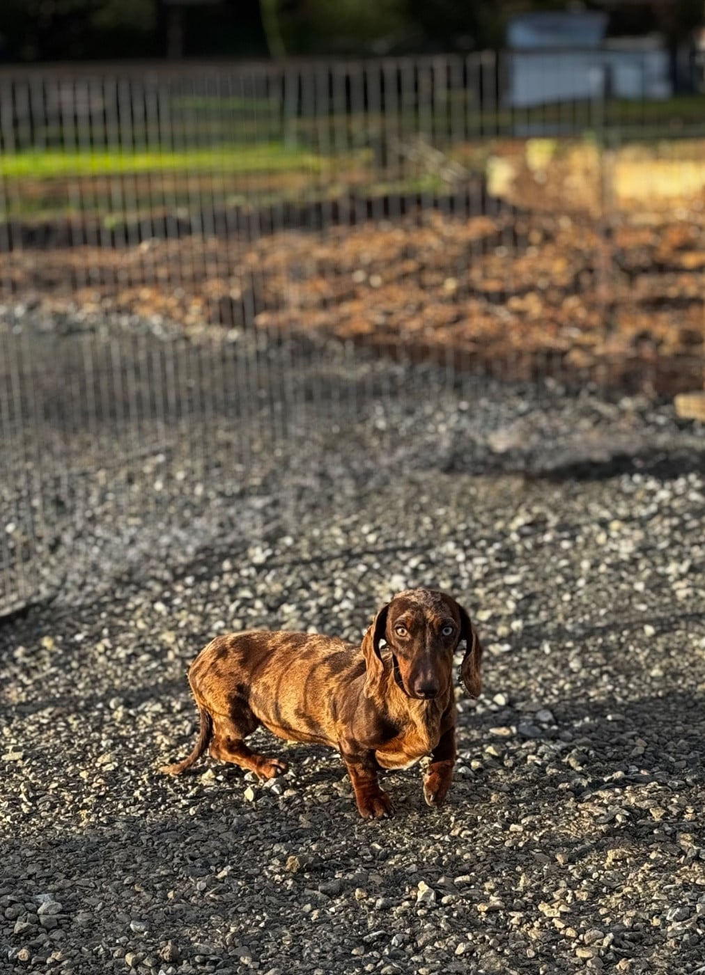 All in one Red Rock River