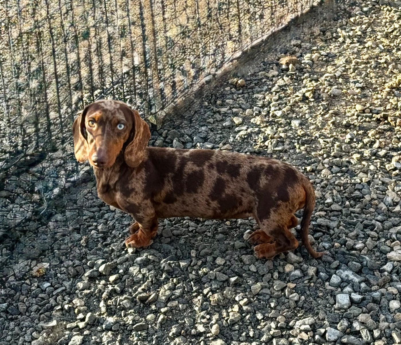 All in one Red Rock River