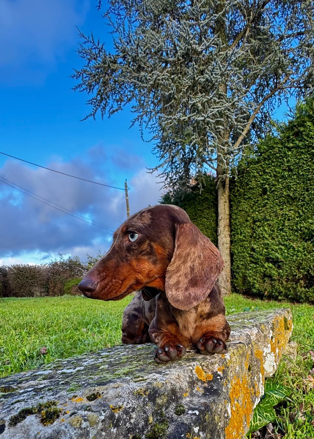 All in one Red Rock River