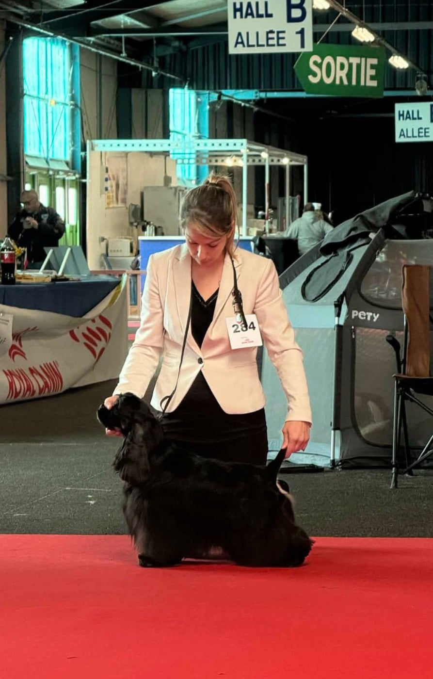 Unchained freedom Of Love Show