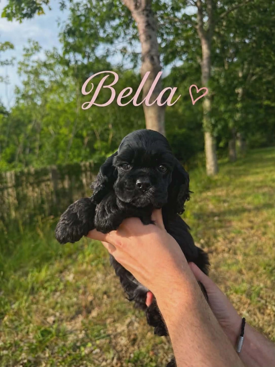 Bella noche