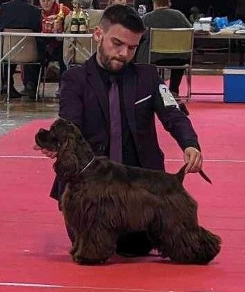 CH. Unchain the chocolat Of Love Show - Meilleure jeune