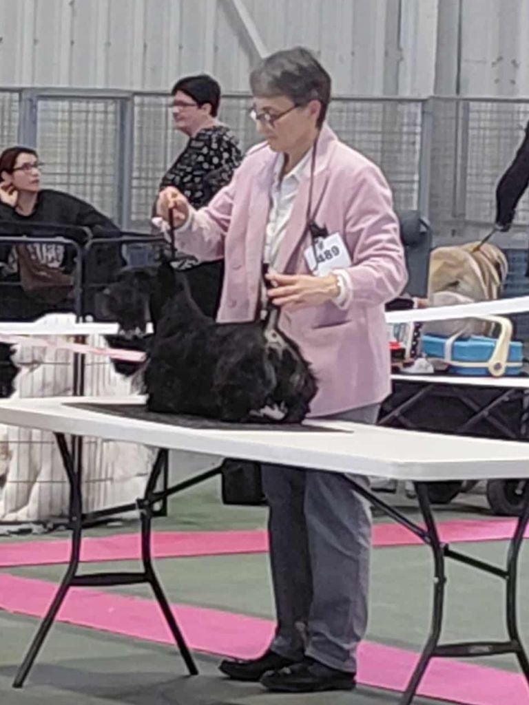 CH. Un ange passe du  moulin  de mac  gregor