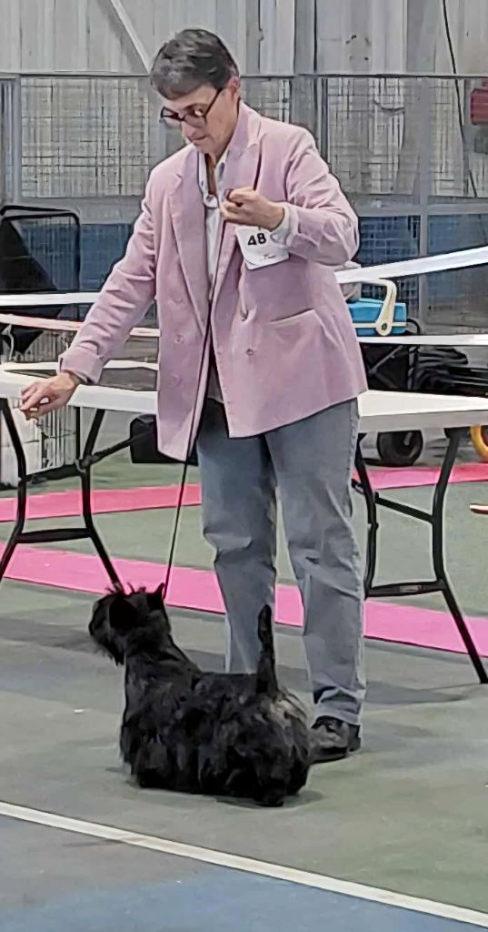 CH. U 2 du  moulin  de mac  gregor