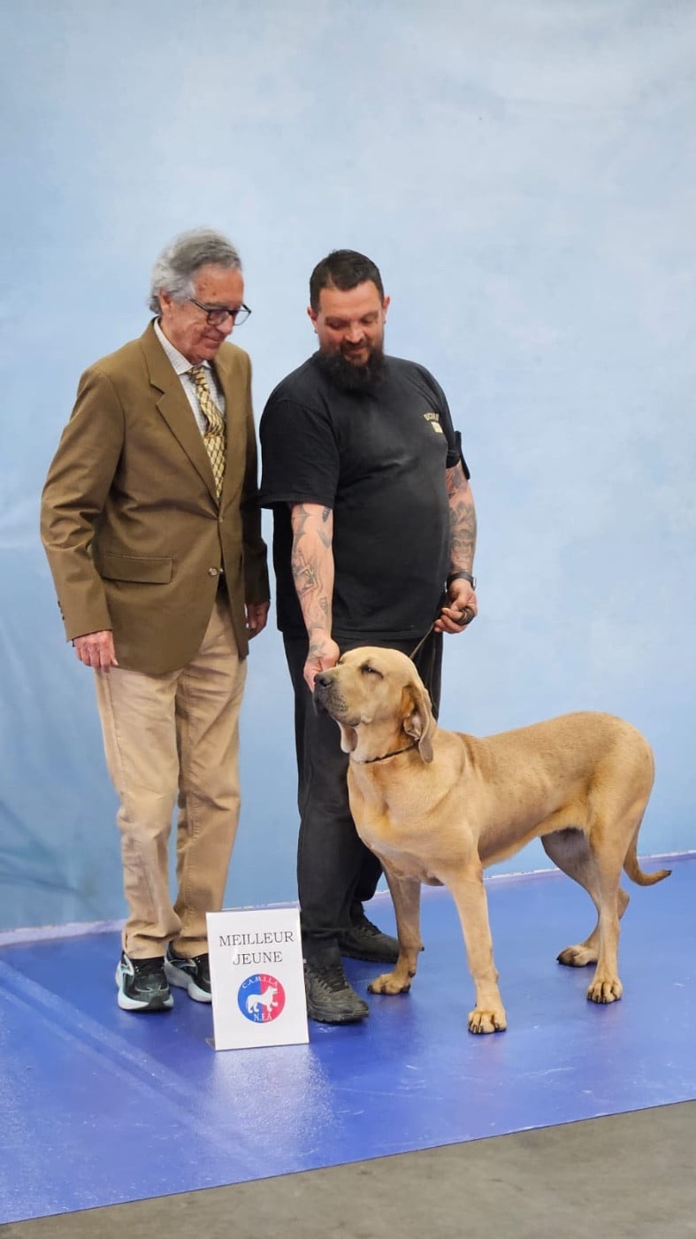 Adisha du Clan des Brésiliens