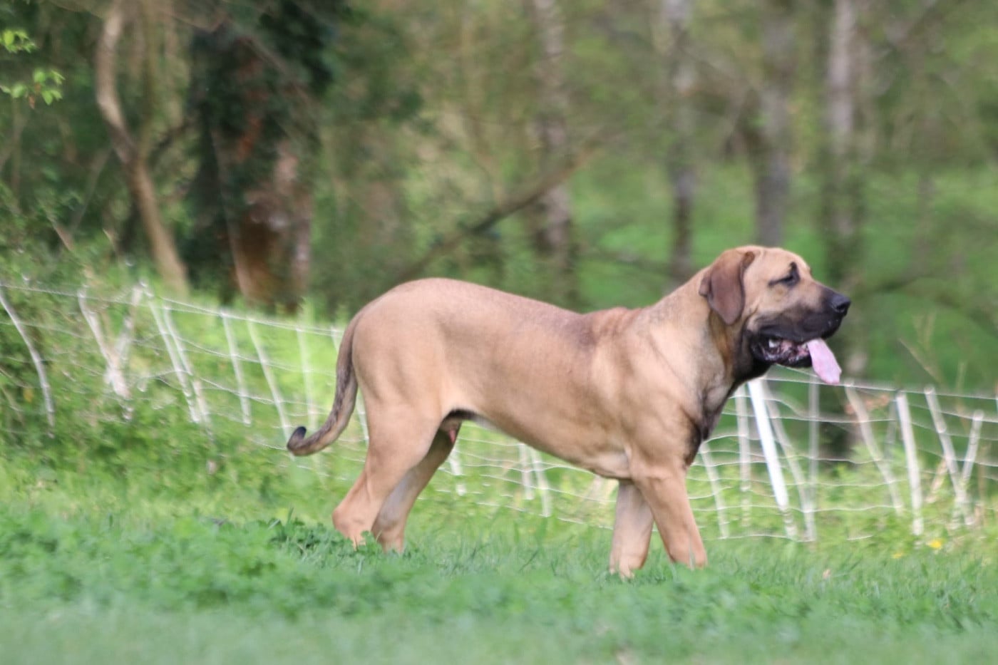 Eldorado Do Rio Doce