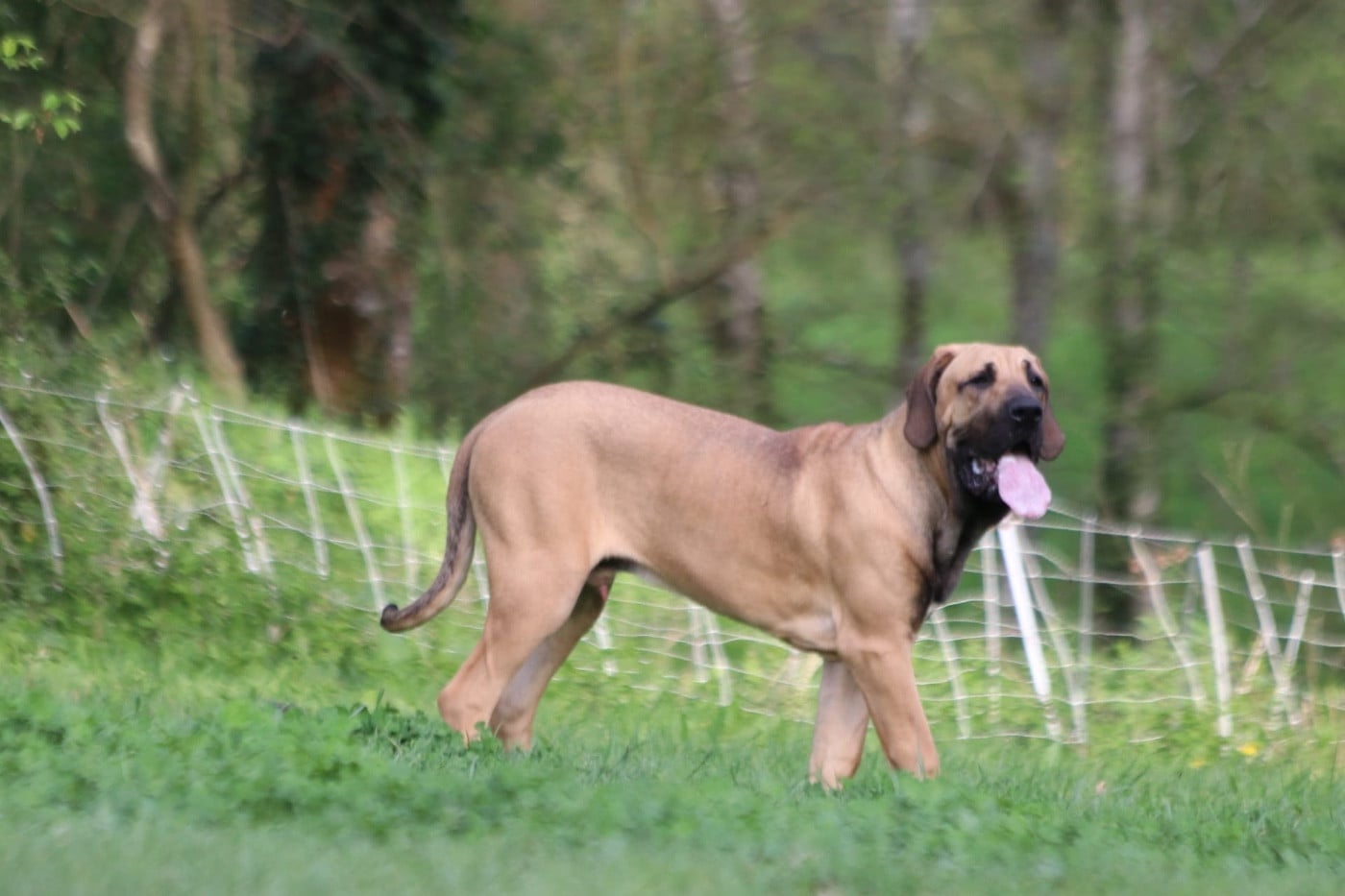 Eldorado Do Rio Doce