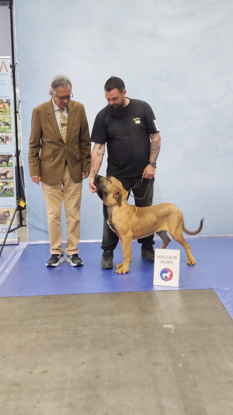 Eldorado Do Rio Doce