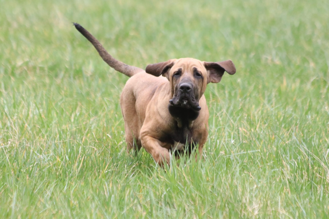 Eldorado Do Rio Doce