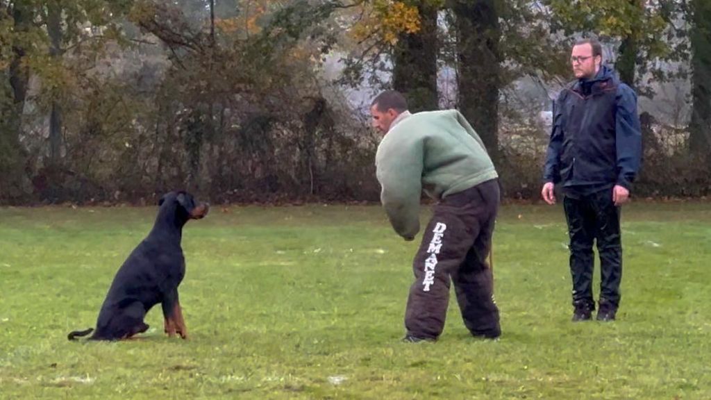 Publication : (Sans Affixe)