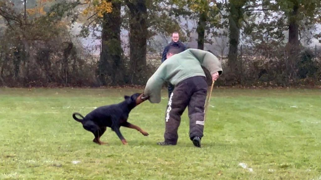 Publication : (Sans Affixe)