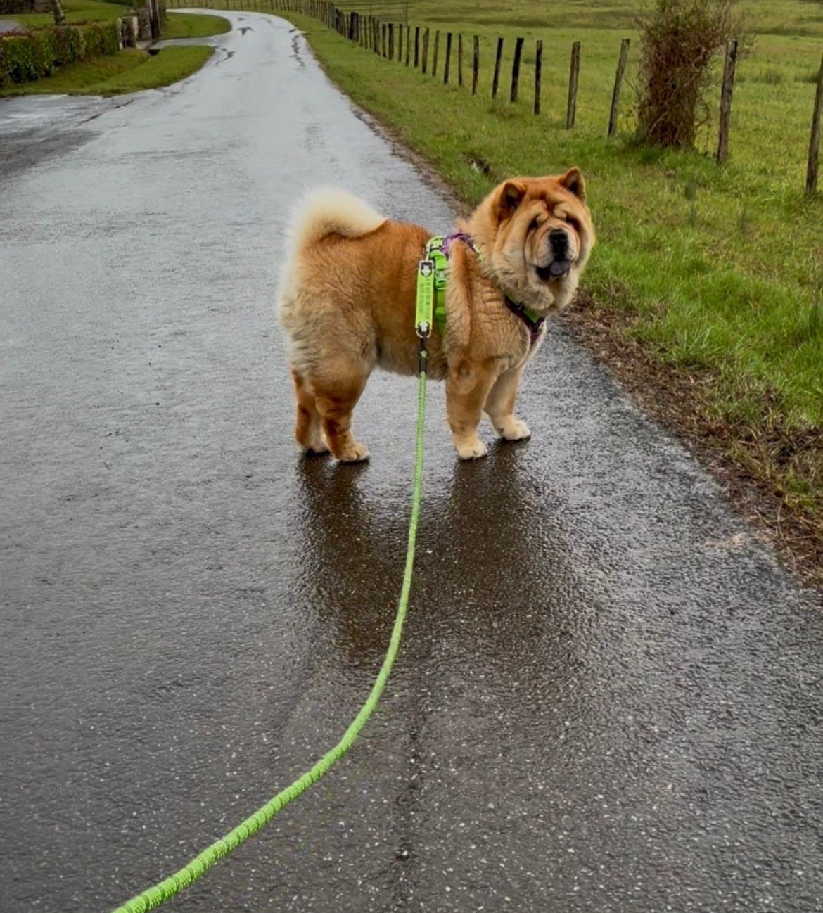 Publication : De Yuán Fang Auteur : Sabrina Crampé