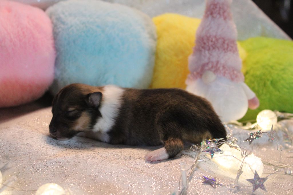 A nos actes manqués