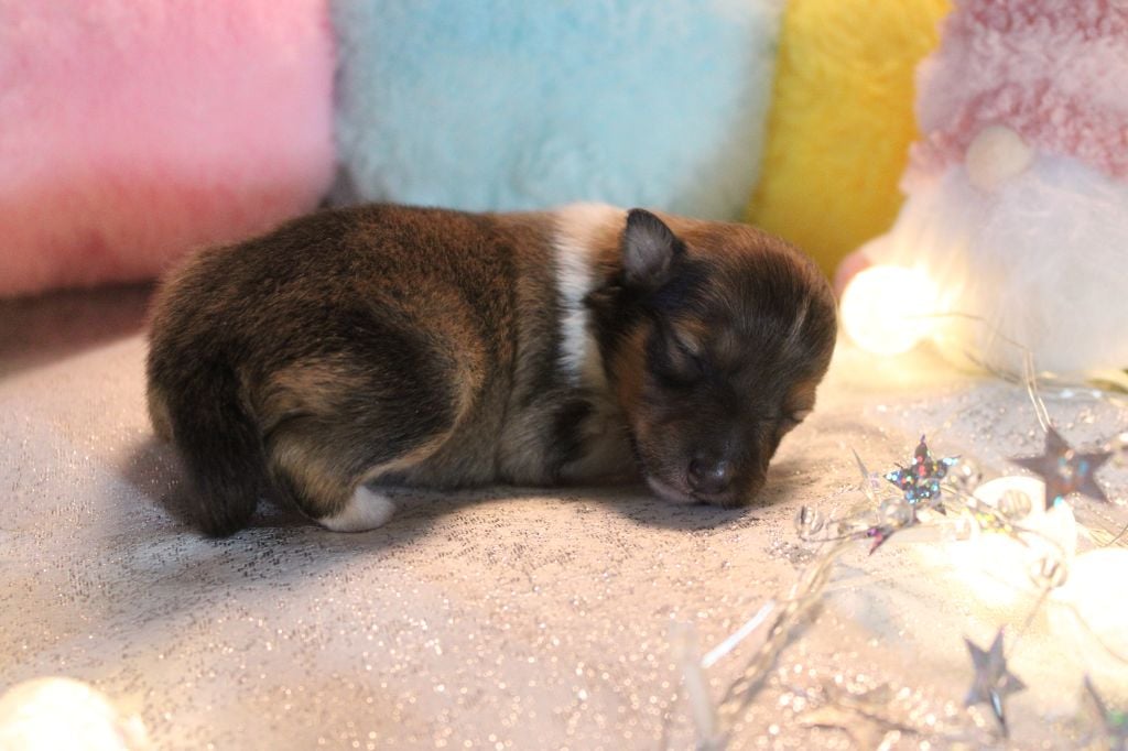 A nos actes manqués