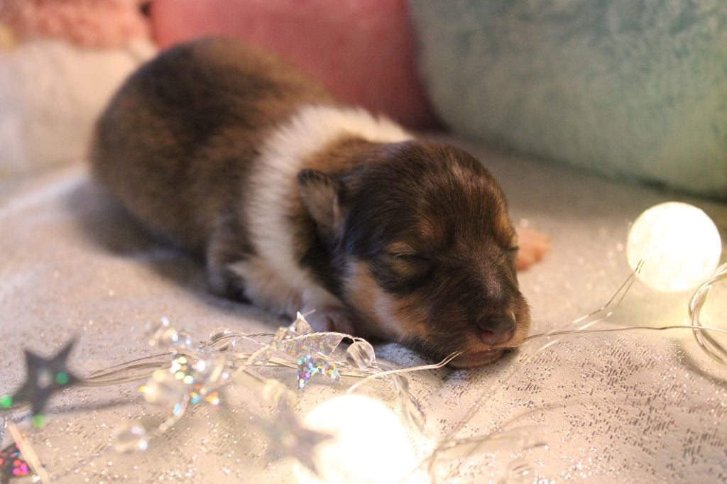 A nos actes manqués