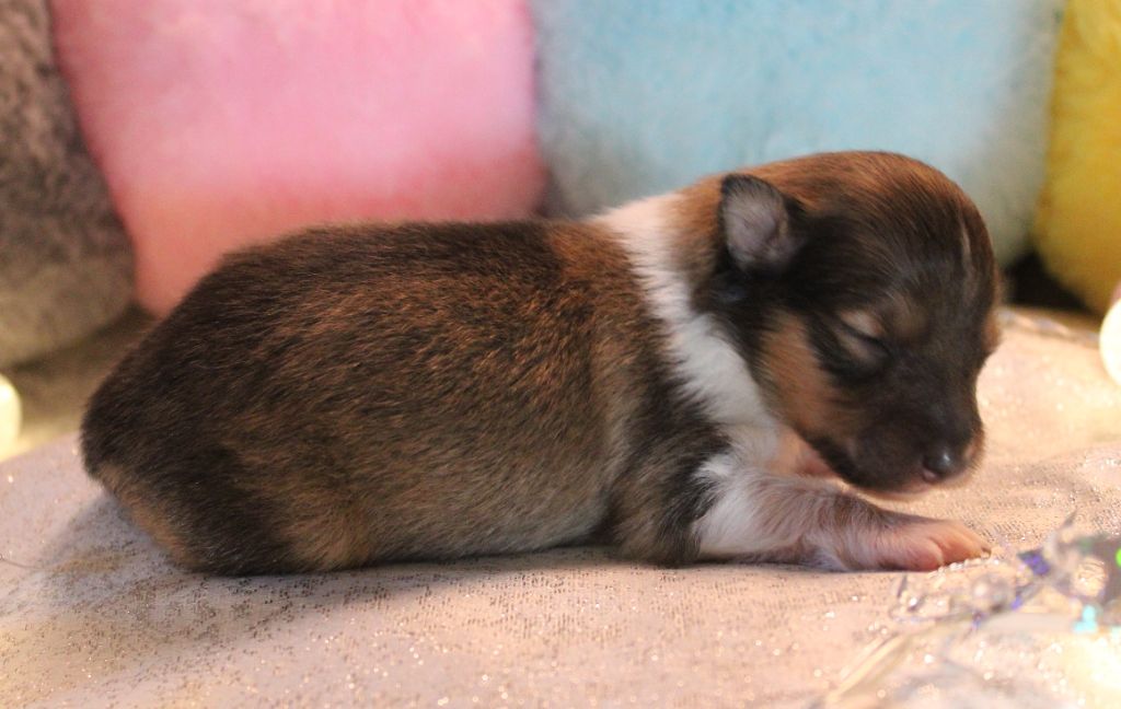 A nos actes manqués