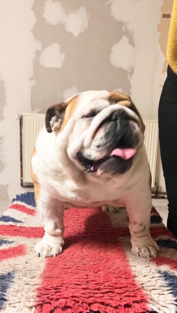 Publication : Jewel’s Empire