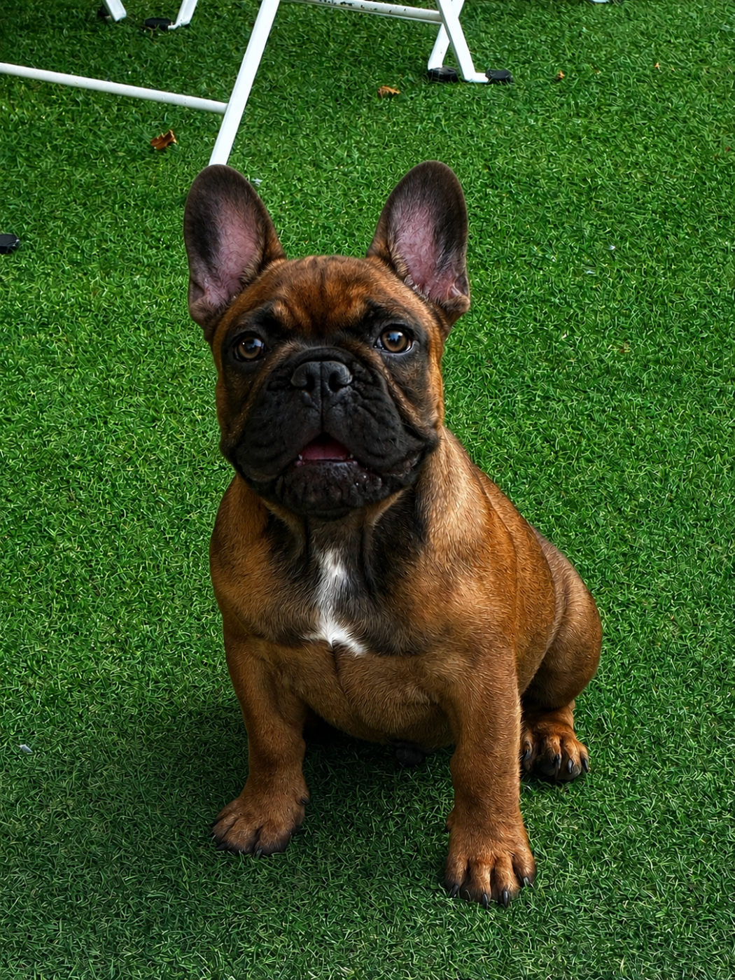 baron