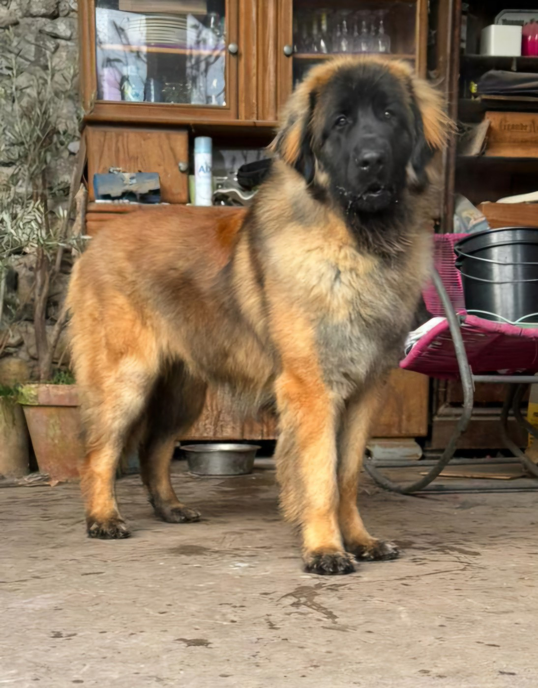 Publication : De La Cité Des Peintres