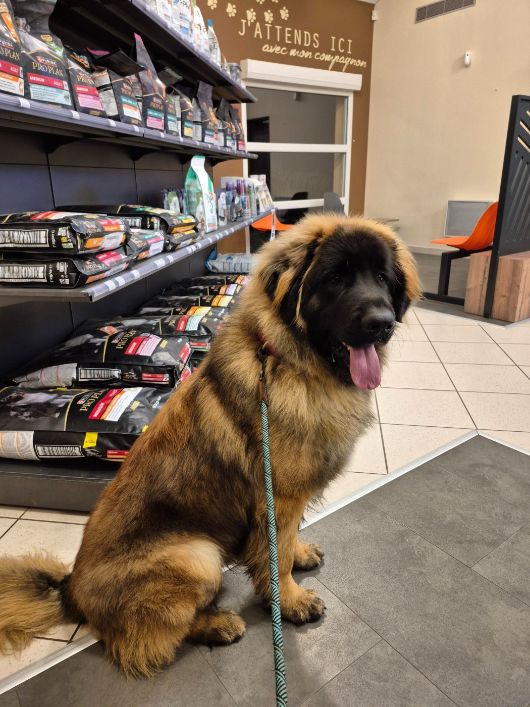 Publication : De La Cité Des Peintres