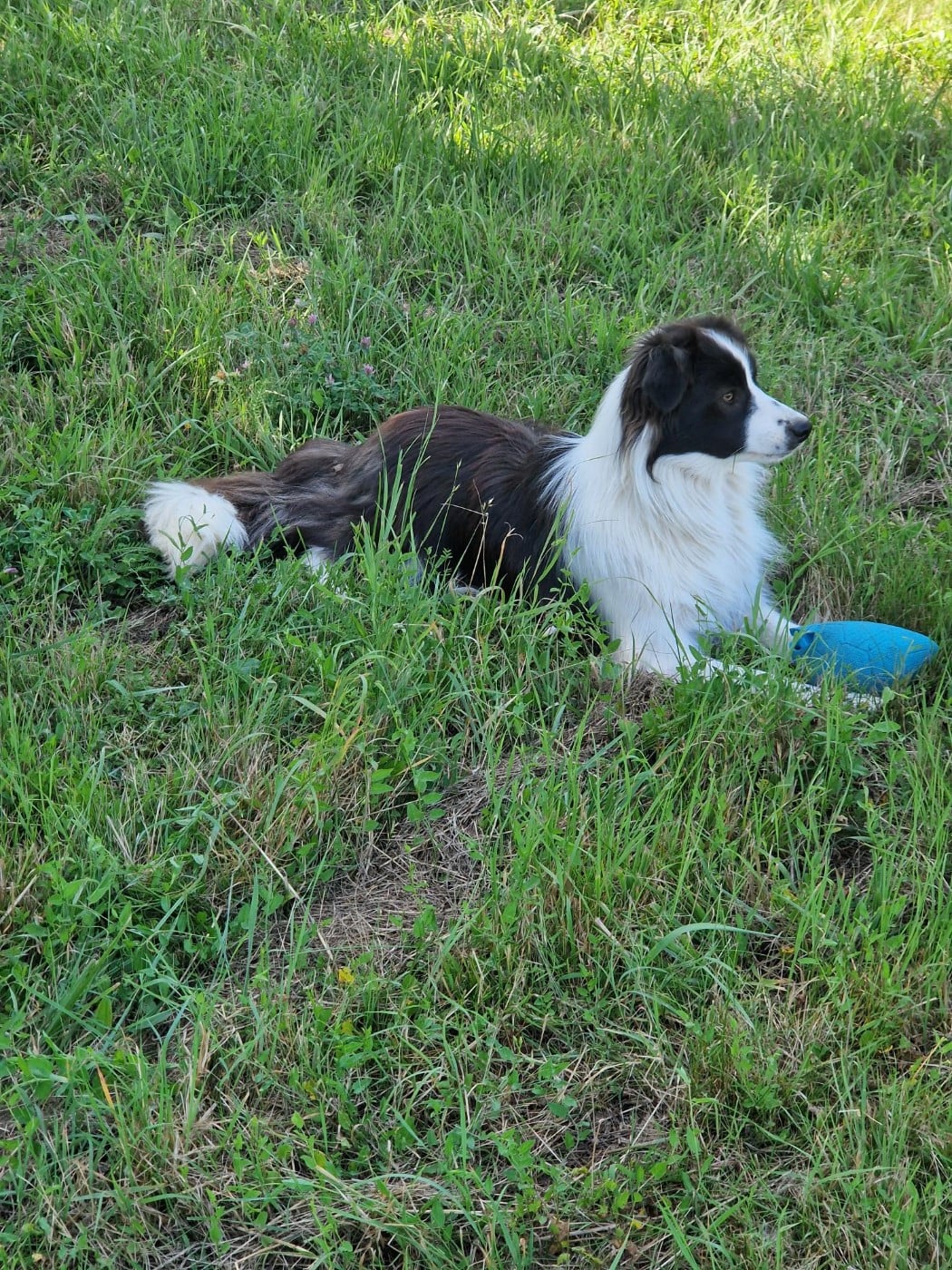 Publication : De La Cité Des Peintres